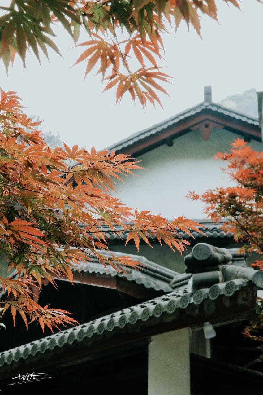 雷竞技比分